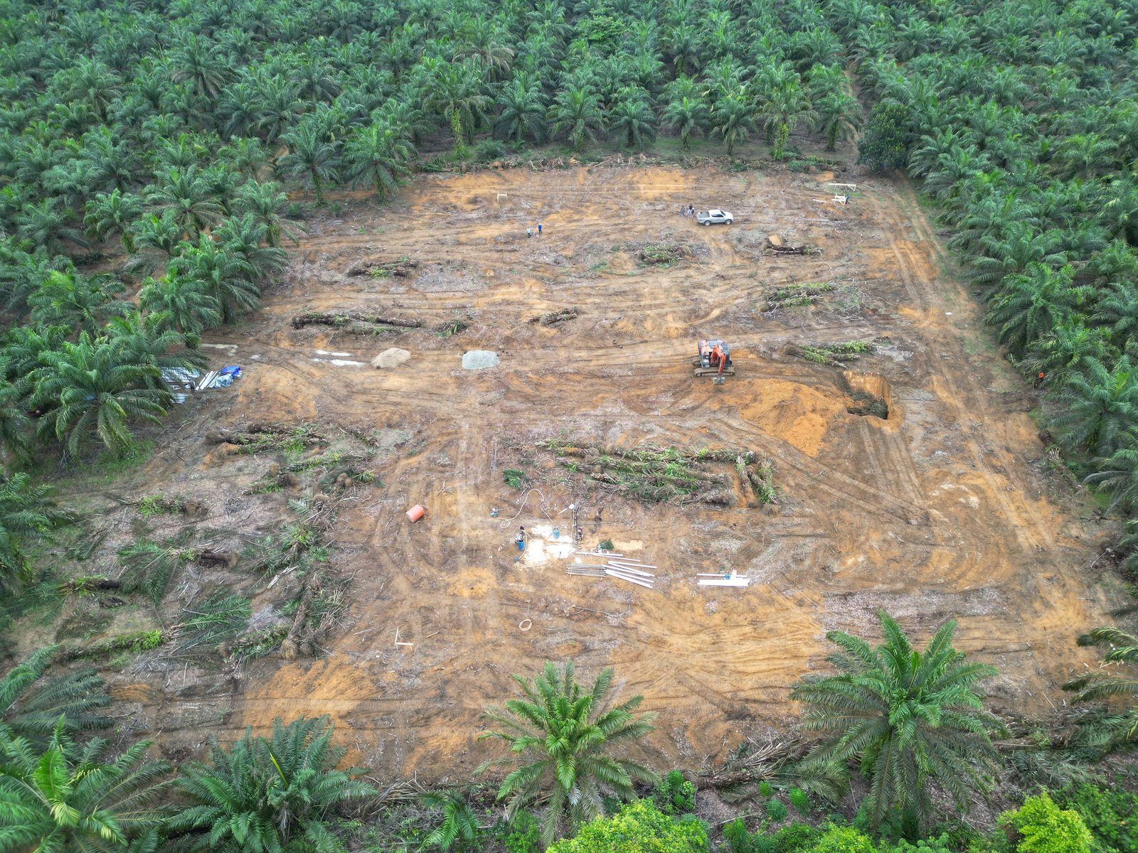 Blok kebun sawit di Sungai Gelam, Muaro Jambi, setelah pohon ditumbang dan dirumpuk, foto udara